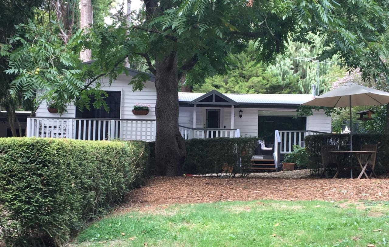 Clarendon Cottages Sassafras Luaran gambar