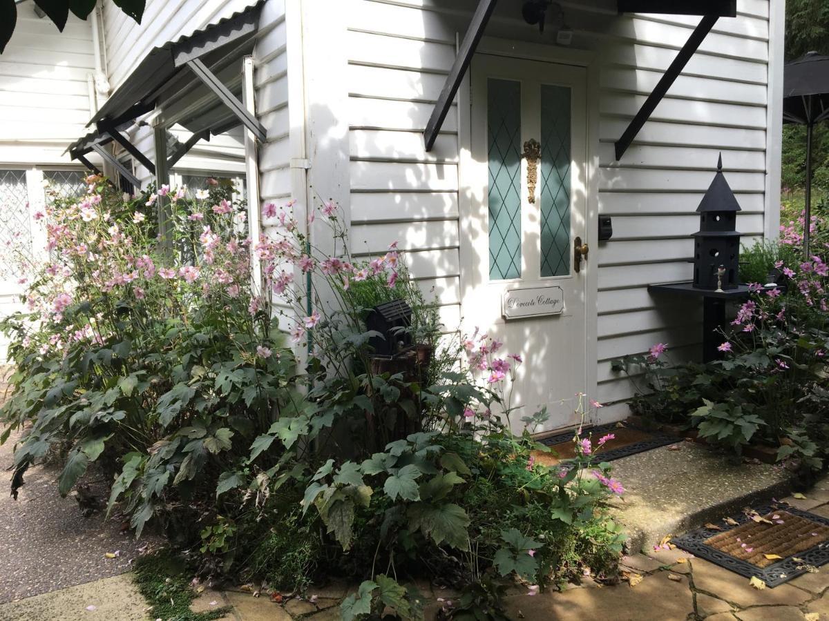 Clarendon Cottages Sassafras Luaran gambar
